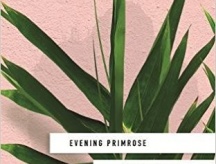 Evening Primrose is published in the UK