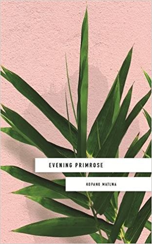 Evening Primrose is published in the UK